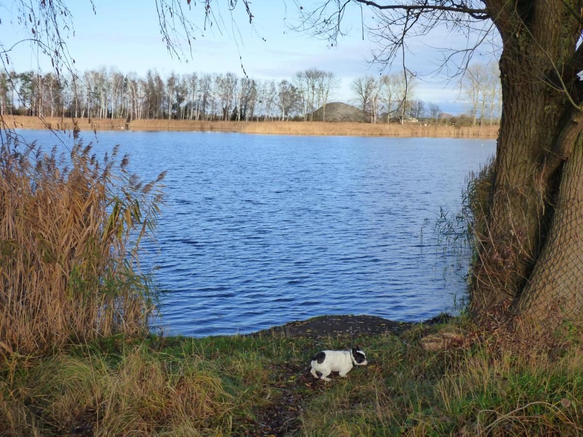 Uckermark "Ferienwohnung Sommerfugl " Passow  Extérieur photo